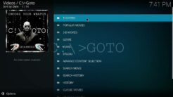 GOTO Kodi Addon Movie Scrapers Section