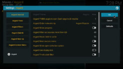 Asgard Kodi Addon Settings